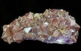 Thunder Bay Amethyst Cluster With Hematite #46289-1